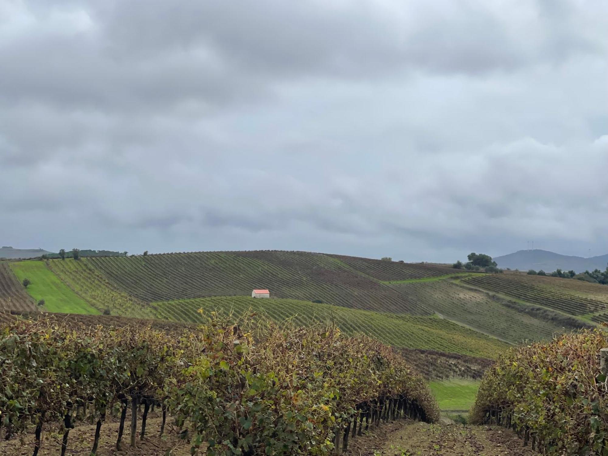 Villa Das Vinhas Aldeia Galega da Merceana e Aldeia Gavinha 외부 사진